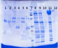 Thumbnail for version as of 16:04, 18 March 2014