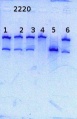 Thumbnail for version as of 14:48, 23 May 2014