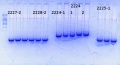 Thumbnail for version as of 15:16, 12 June 2014