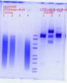 Thumbnail for version as of 15:08, 8 June 2020