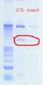 Thumbnail for version as of 16:06, 10 November 2011