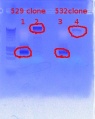 Thumbnail for version as of 15:22, 31 January 2012