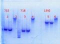 Thumbnail for version as of 17:24, 14 January 2014