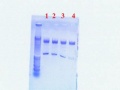 Thumbnail for version as of 16:23, 19 July 2011