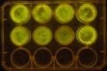 Thumbnail for version as of 15:49, 29 July 2012