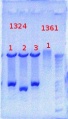 Thumbnail for version as of 09:51, 5 September 2012