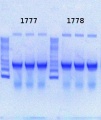 Thumbnail for version as of 16:56, 3 July 2013