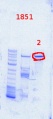 Thumbnail for version as of 12:31, 25 September 2013