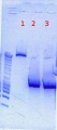 Thumbnail for version as of 16:41, 18 April 2012