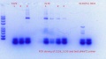 Thumbnail for version as of 19:52, 5 February 2018