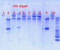 Thumbnail for version as of 09:05, 10 April 2013