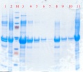 Thumbnail for version as of 23:23, 13 February 2012