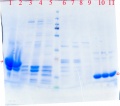 Thumbnail for version as of 17:20, 12 August 2014