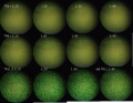 Thumbnail for version as of 18:26, 26 April 2011