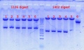 Thumbnail for version as of 13:50, 27 September 2012