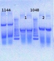 Thumbnail for version as of 15:12, 15 April 2013