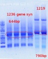 Thumbnail for version as of 10:53, 10 June 2012