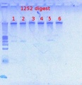 Thumbnail for version as of 13:28, 23 July 2012