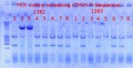 Thumbnail for version as of 14:26, 10 October 2012