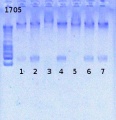 Thumbnail for version as of 12:18, 29 April 2013