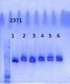 Thumbnail for version as of 13:34, 3 November 2014
