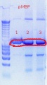 Thumbnail for version as of 16:33, 4 October 2011