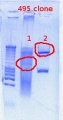 Thumbnail for version as of 10:09, 18 April 2012
