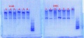 Thumbnail for version as of 12:38, 21 February 2014