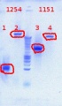 Thumbnail for version as of 13:04, 10 July 2012