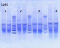 Thumbnail for version as of 14:15, 8 April 2013