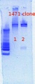 Thumbnail for version as of 11:31, 25 January 2013