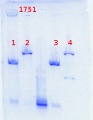 Thumbnail for version as of 17:35, 13 June 2013