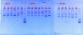 Thumbnail for version as of 12:00, 28 January 2014