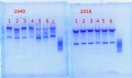 Thumbnail for version as of 17:25, 14 February 2014