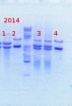 Thumbnail for version as of 09:56, 14 March 2014