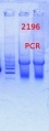 Thumbnail for version as of 12:45, 13 May 2014
