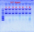 Thumbnail for version as of 15:32, 25 May 2012