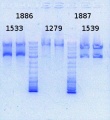 Thumbnail for version as of 15:08, 21 October 2013