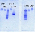 Thumbnail for version as of 16:43, 5 April 2013