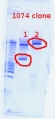 Thumbnail for version as of 11:37, 16 April 2012