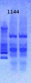 Thumbnail for version as of 12:49, 1 April 2013