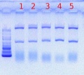 Thumbnail for version as of 13:33, 25 May 2012
