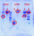 Thumbnail for version as of 14:03, 6 July 2012