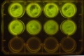 Thumbnail for version as of 19:11, 9 January 2012