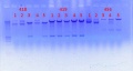 Thumbnail for version as of 15:53, 10 November 2011
