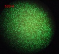Thumbnail for version as of 14:57, 20 January 2012