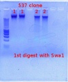 Thumbnail for version as of 16:22, 24 January 2012