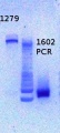 Thumbnail for version as of 12:20, 12 February 2013