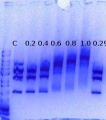 Thumbnail for version as of 15:23, 30 September 2013