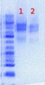 Thumbnail for version as of 15:23, 14 June 2012